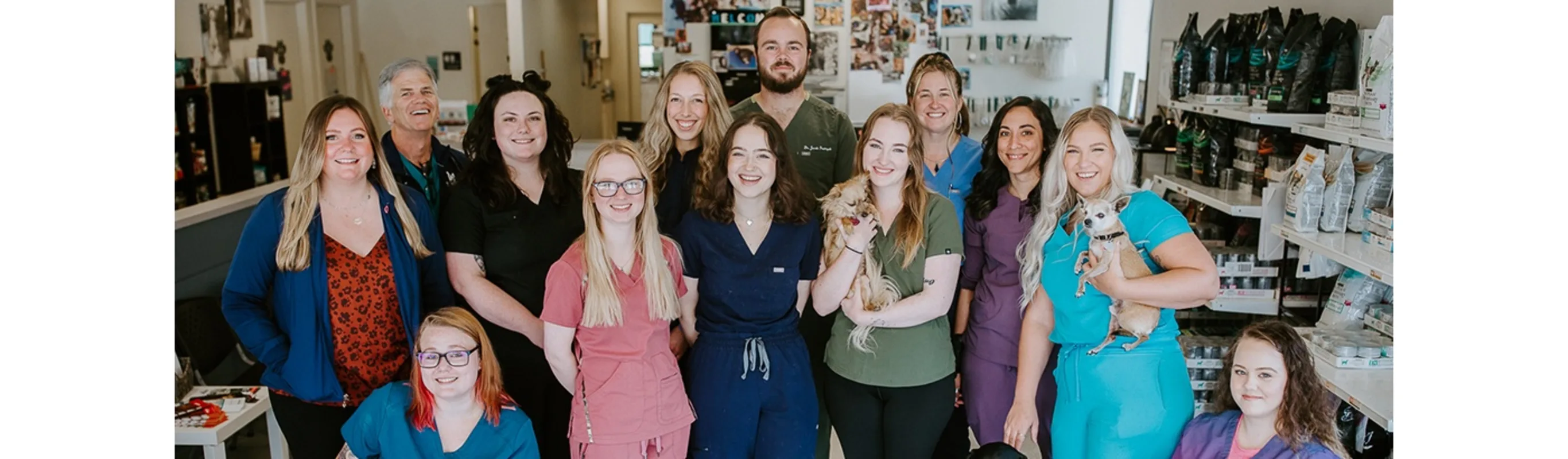 Veterinary staff at Shoreline Central Animal Hospital.