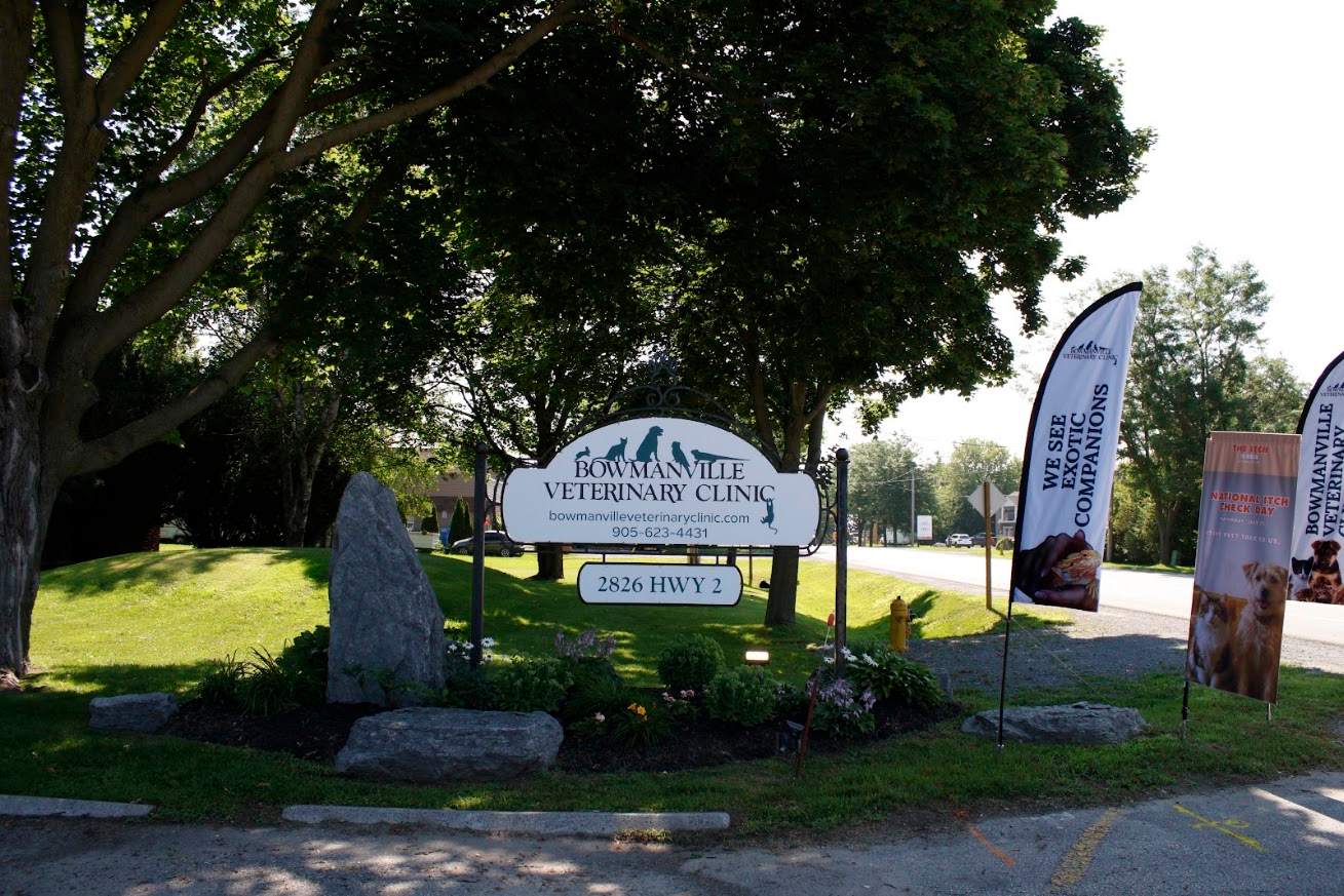 Veterinary clinic sign.