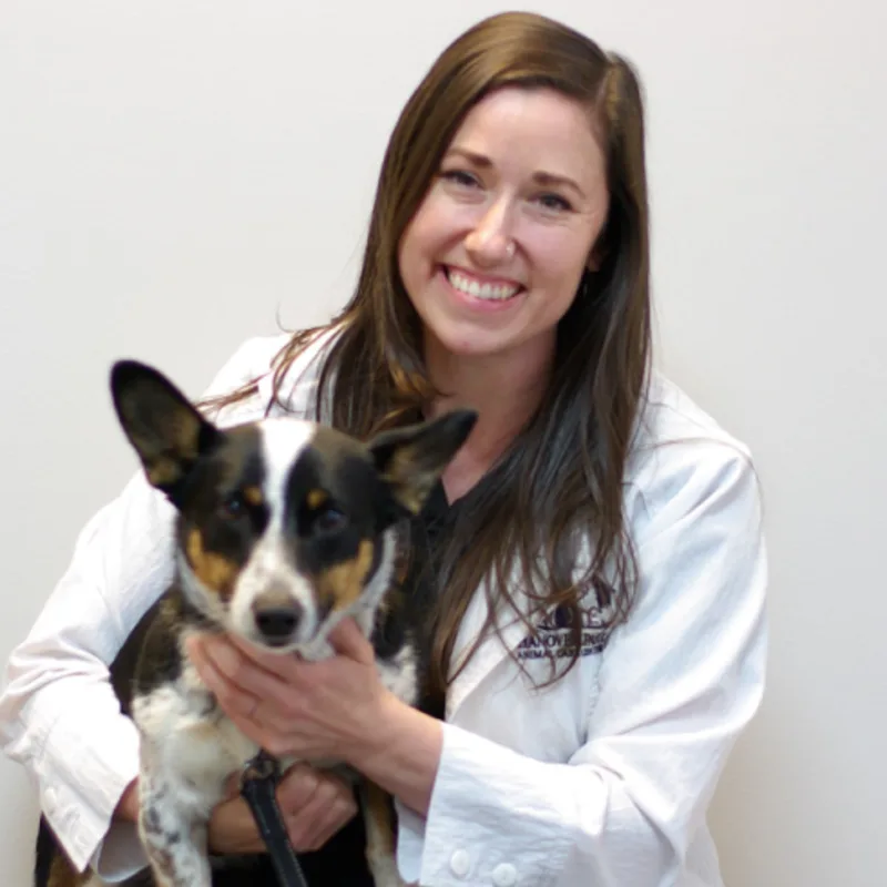 Dr. Mary Roberg at Hanover Park Animal Care Center Dr. Mary Roberg at Hanover Park Animal Care Center