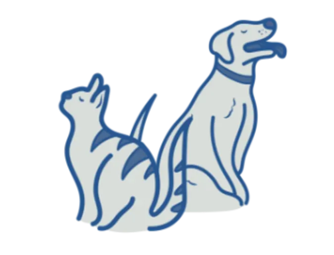 Cat and dog illustration Cat and dog illustration