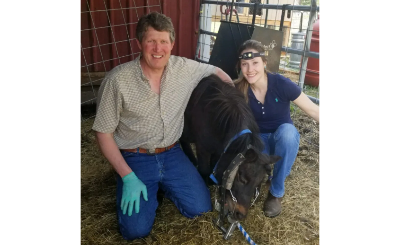 Two veterinary staff at McKinlay & Peters Equine Hospital posing with a horse in the stall Two veterinary staff at McKinlay & Peters Equine Hospital posing with a horse in the stall