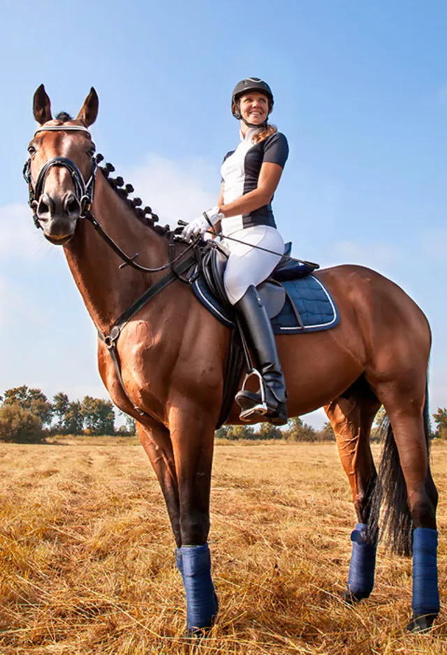 Cheerful girl jockey sitting on a horse against blue sky and yellow field, looking forward and smiling on a sunny day.