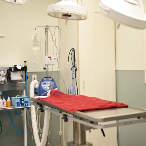 Surgical Suite at Mundelein Animal Hospital