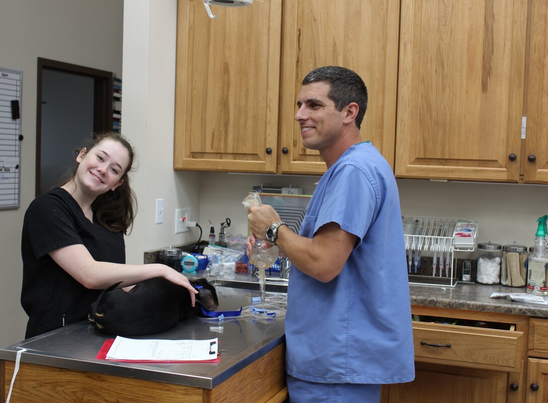 Hunter Animal Hospital staff smiling while they work