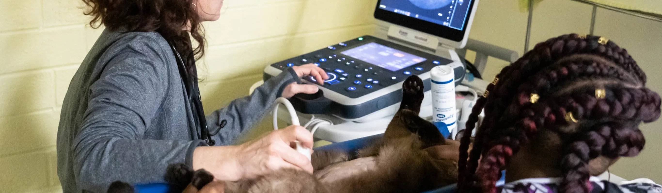 ultrasound services ultrasound services