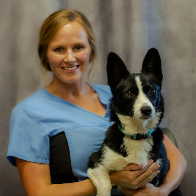 Dr. Hannah Ellsworth Dr. Hannah Ellsworth