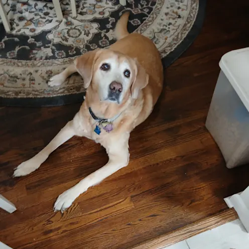 Grace Digalbo Grace Digalbo