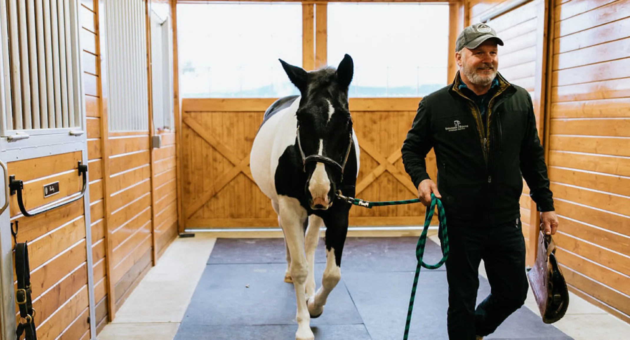 Evergreen Equine Doctor about to examine a horse Evergreen Equine Doctor about to examine a horse