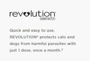 Revolution promotion