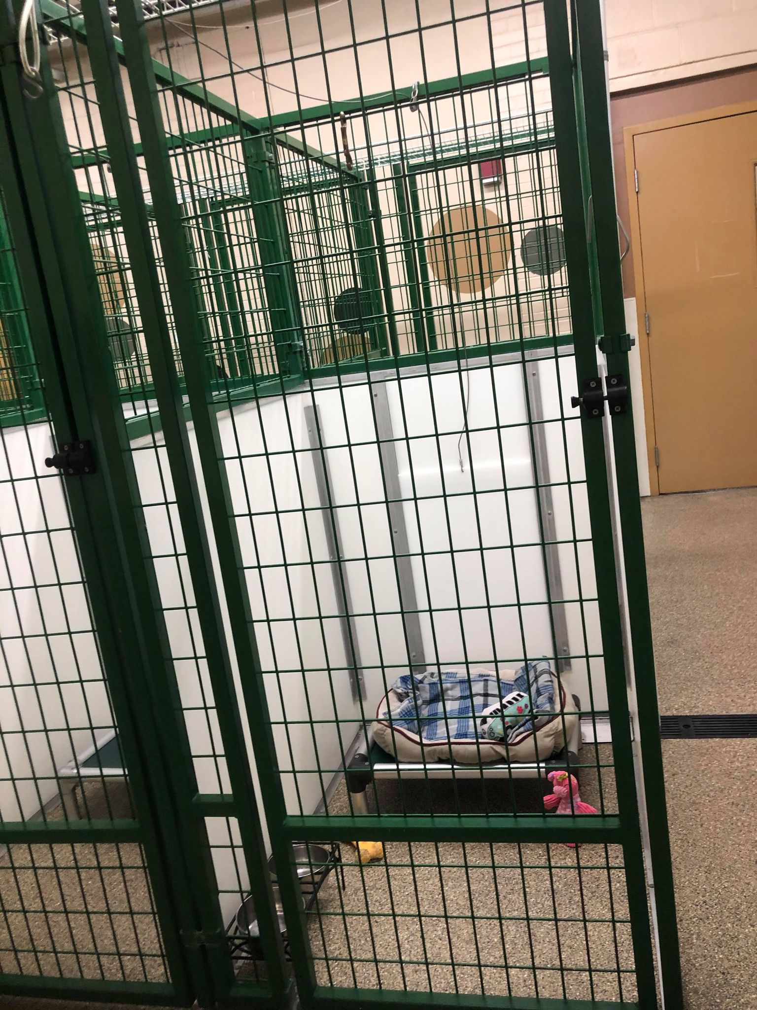 Boarding room green metal