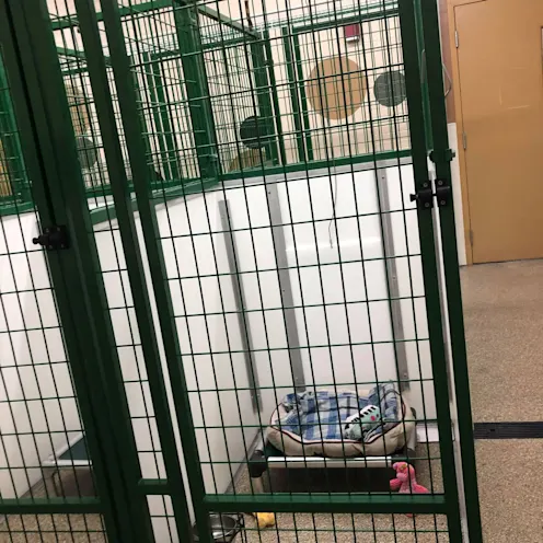 Boarding room green metal Boarding room green metal