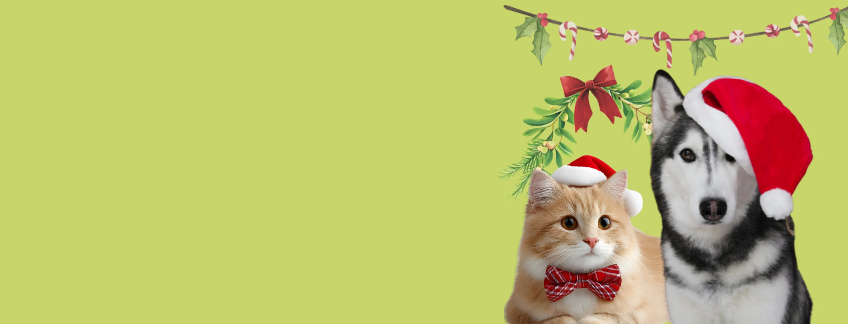 Santa’s Ready for Snuggles! Santa’s Ready for Snuggles!