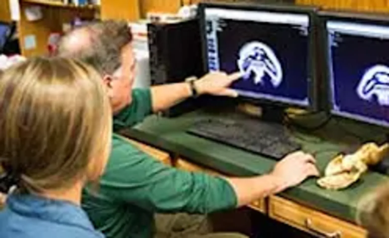 Veterinarians Looking at Xray Veterinarians Looking at Xray