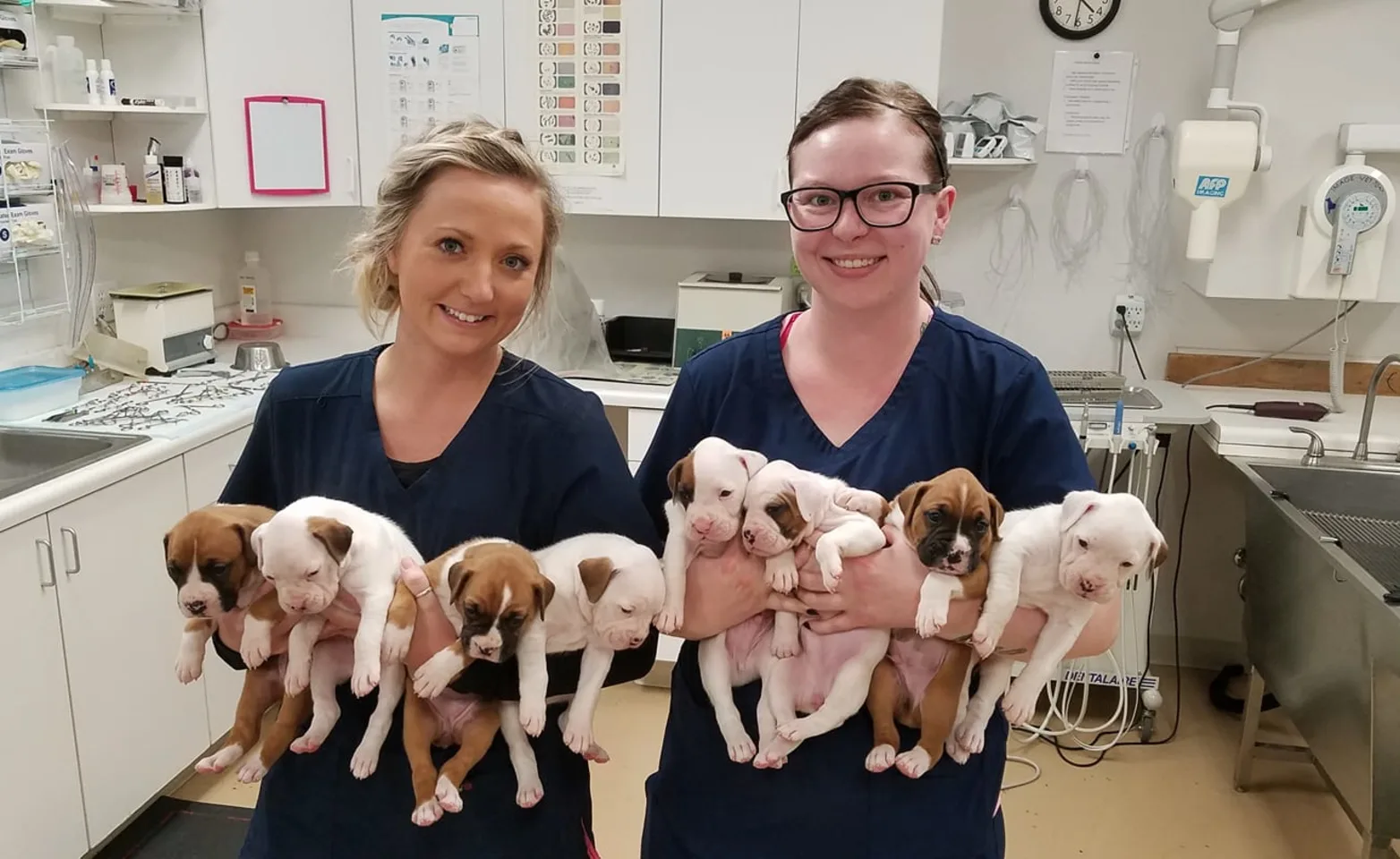 Payson Pet Care staff holding puppies