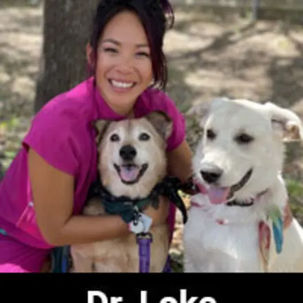 Dr. Loke with two Dogs