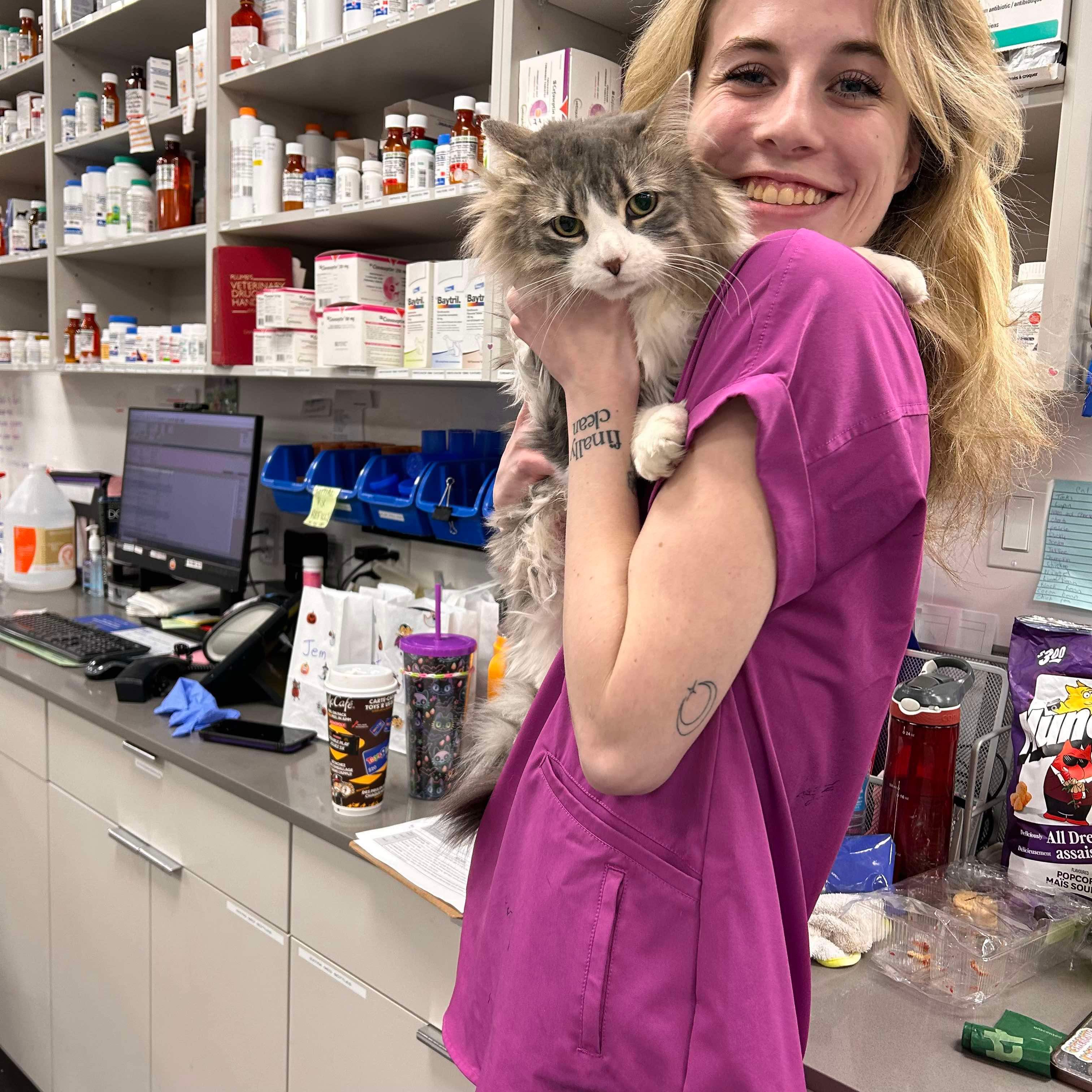 Staff is holding a fluffy cat
