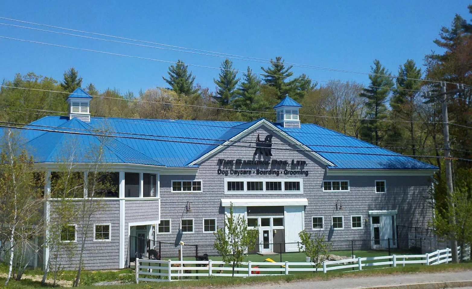 The Barking Dog - Exeter, NH Exterior