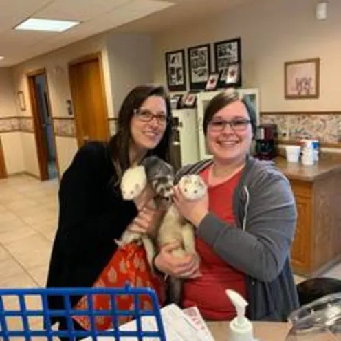 Holding ferrets at Small Animal Hospital