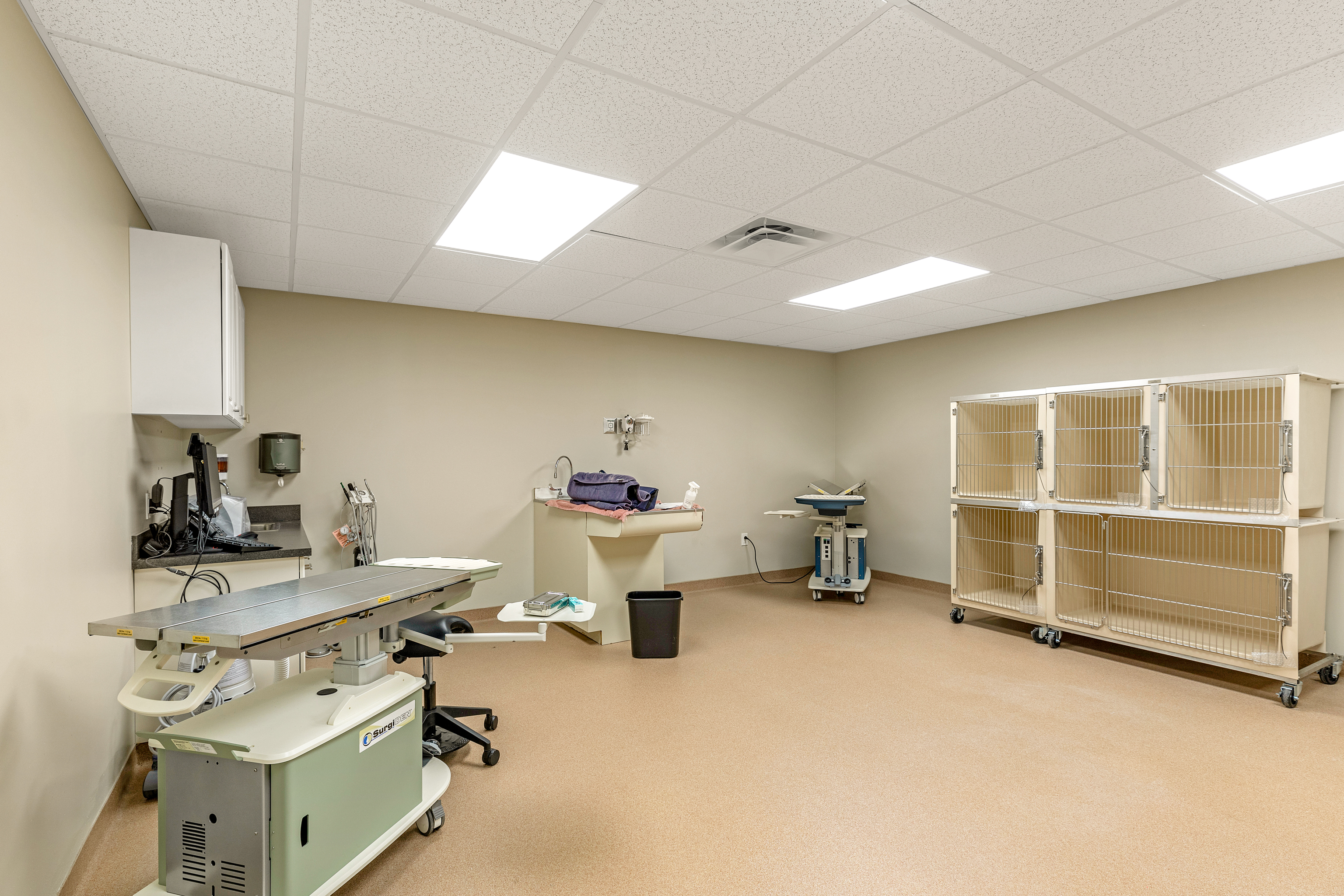 Dental Suite View 2