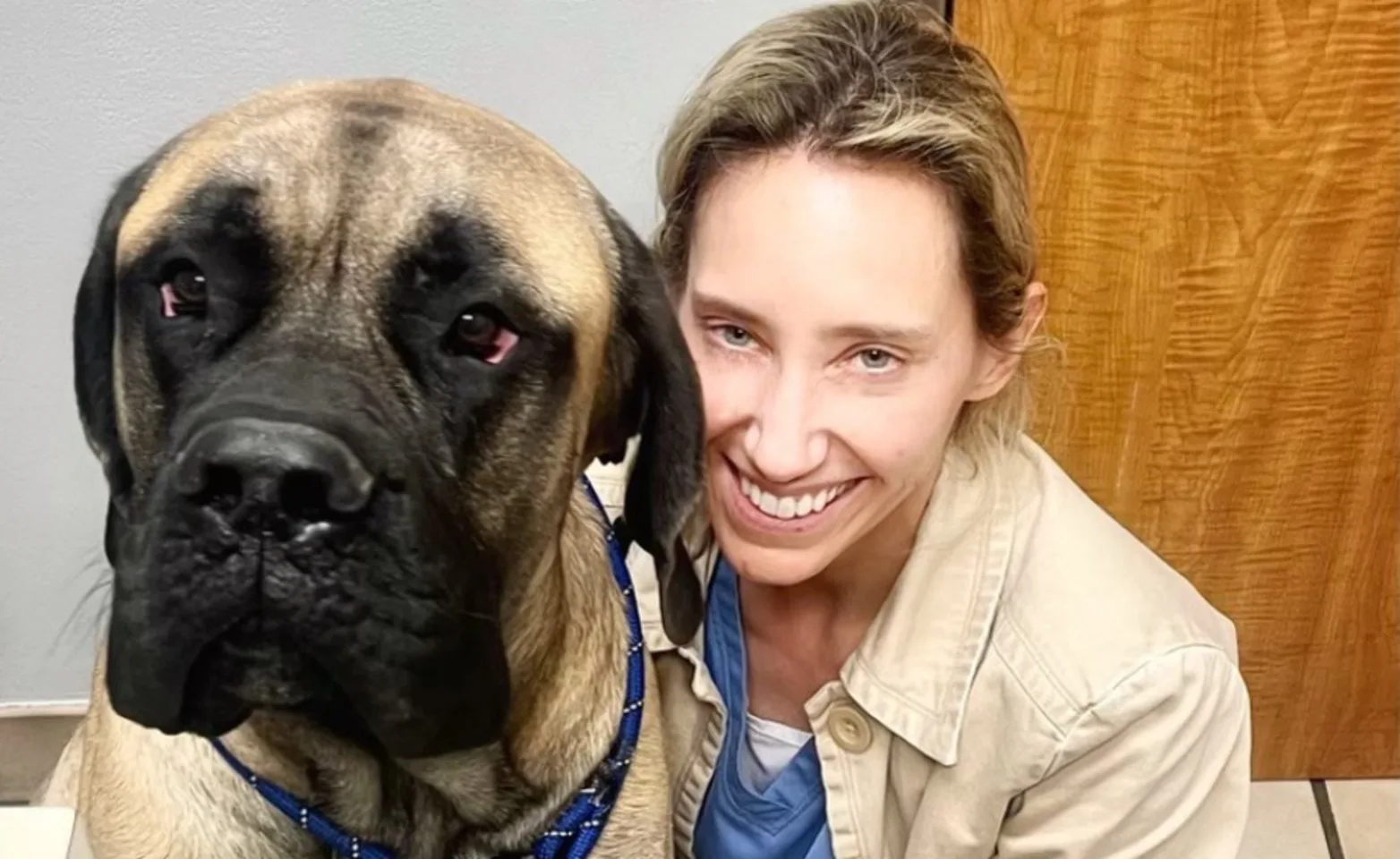 Vet with a big tan and black dog Vet with a big tan and black dog