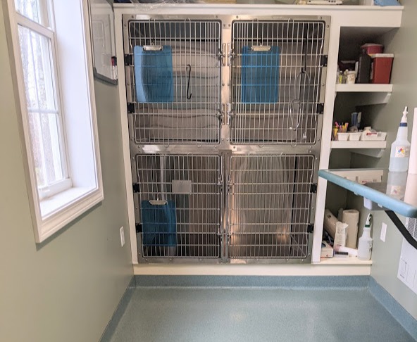 Clean kennel area at Henniker Veterinary Hospital