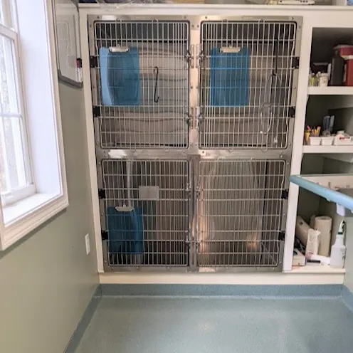 Clean kennel area at Henniker Veterinary Hospital Clean kennel area at Henniker Veterinary Hospital