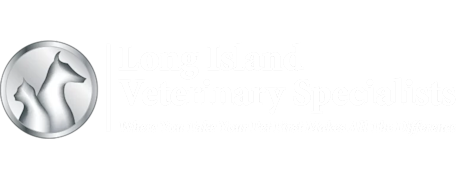 Long Island Veterinary Specialists (LIVS) Logo Long Island Veterinary Specialists (LIVS) Logo