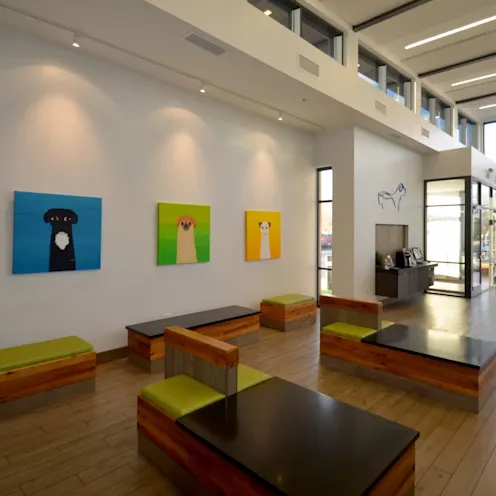 Countryside Veterinary Center lobby area Countryside Veterinary Center lobby area