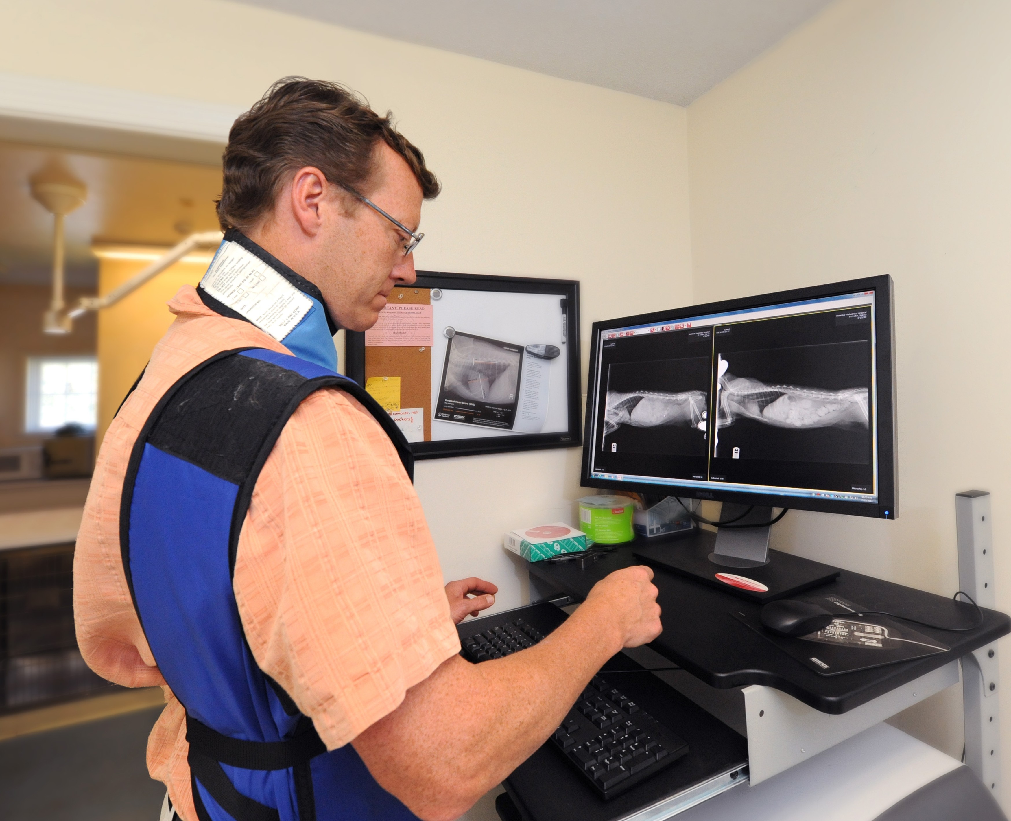 Henniker Veterinary Hospital Doctor giving cat an x-ray