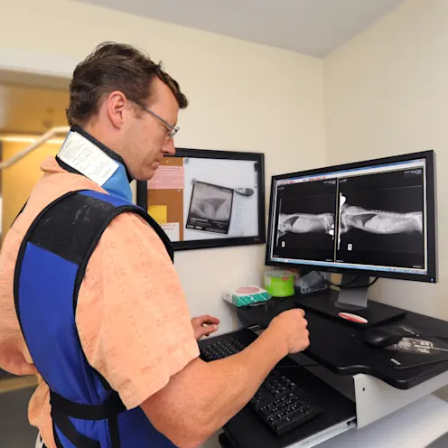 Henniker Veterinary Hospital Doctor giving cat an x-ray Henniker Veterinary Hospital Doctor giving cat an x-ray