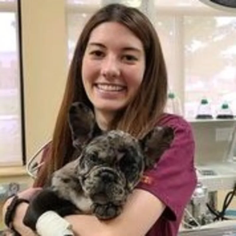 Dr. Ashley Otto Dr. Ashley Otto