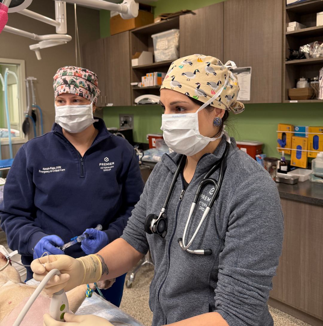 Staff performing diagnostic testing on a patient. 