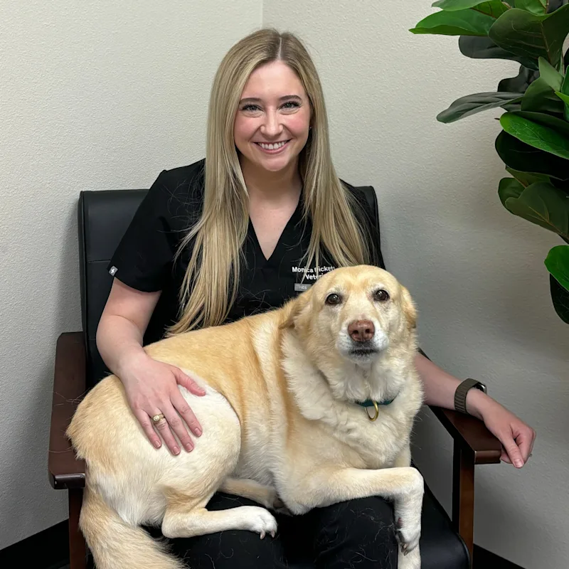 Monica Pickett with large dog from Hill Country Animal Hospital Monica Pickett with large dog from Hill Country Animal Hospital