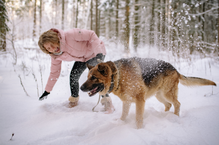 A dog plays in the snow with their owner. 