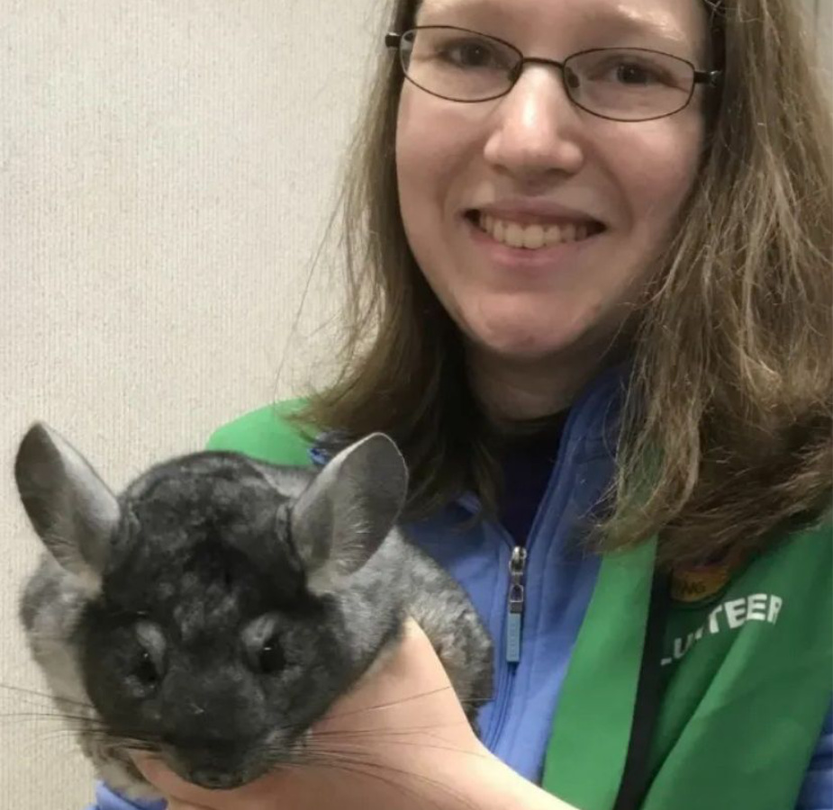 Lady holding a chinchilla