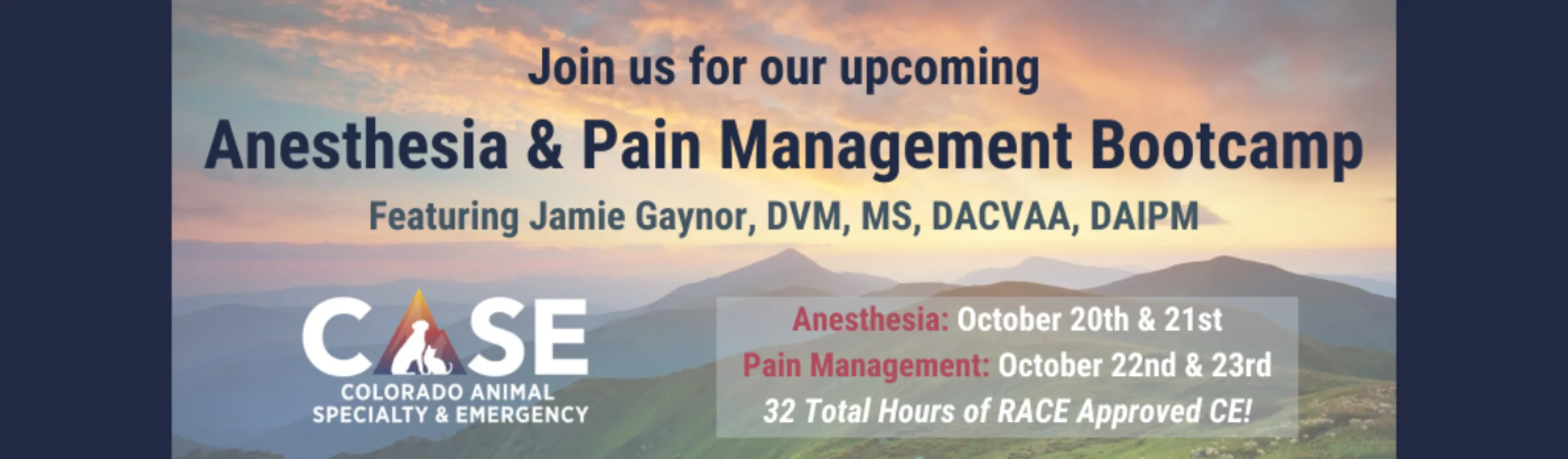 Anesthesia & Pain Management Bootcamp banner Anesthesia & Pain Management Bootcamp banner