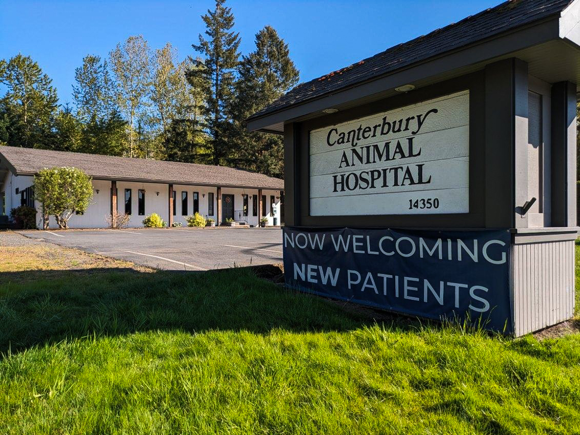 Road sign at Canterbury Animal Hospital