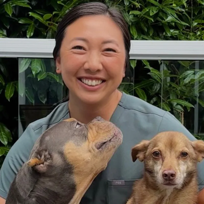 Hania Brasali Hania Brasali