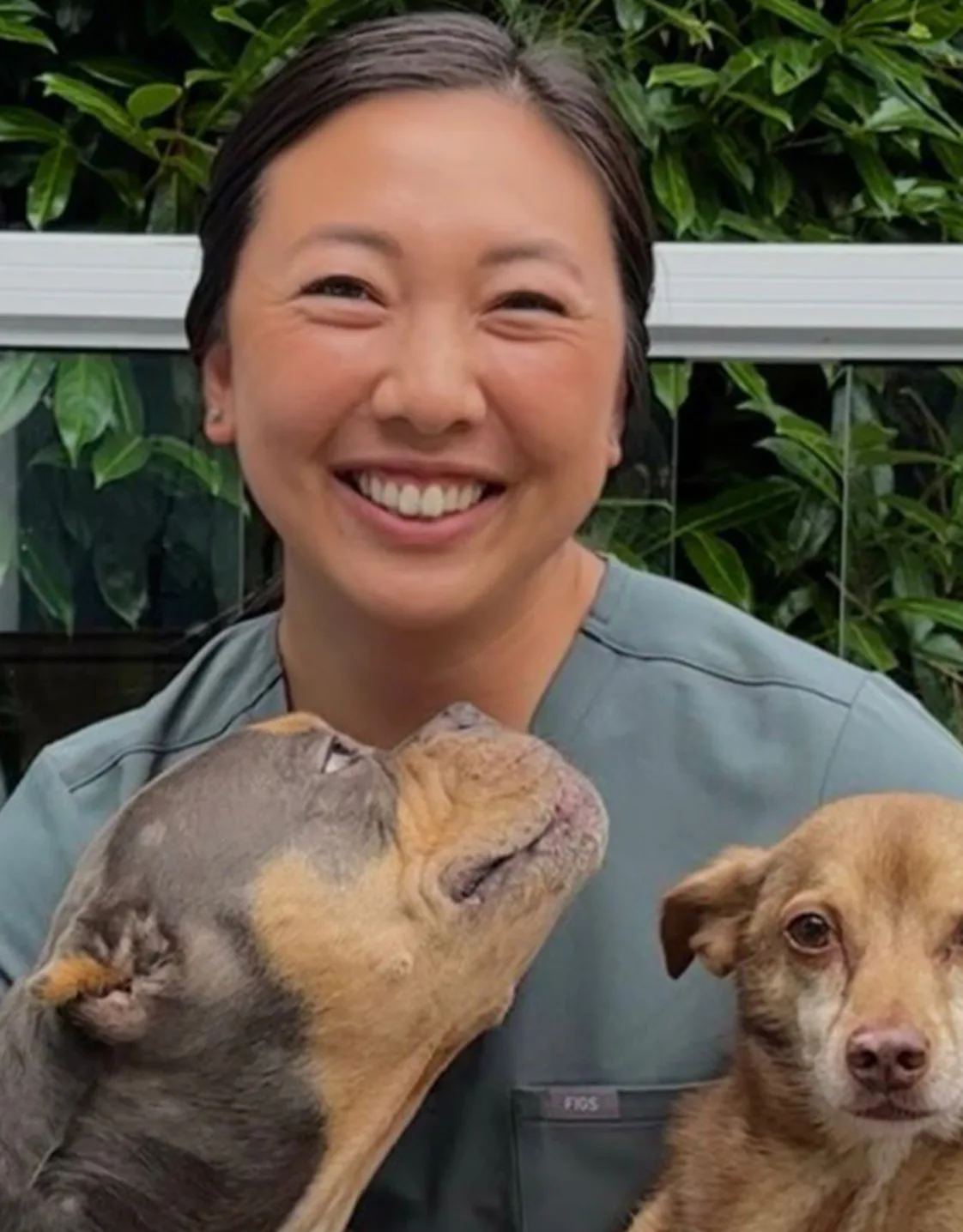 Hania Brasali Hania Brasali