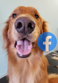 The Pet Ranch Facebook with dog