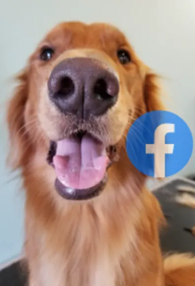 The Pet Ranch Facebook with dog The Pet Ranch Facebook with dog