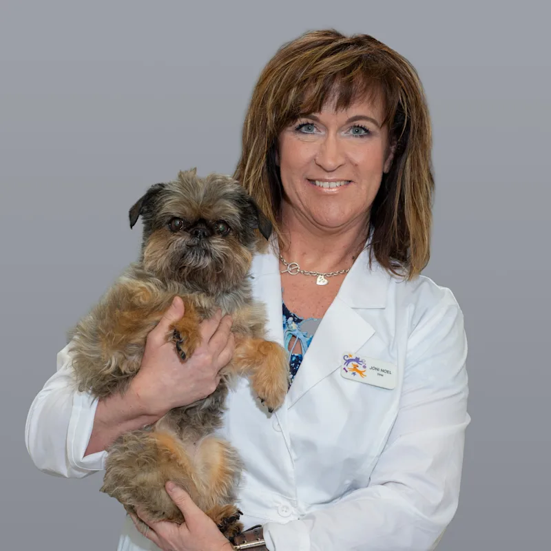 Dr. Joni Noel Dr. Joni Noel