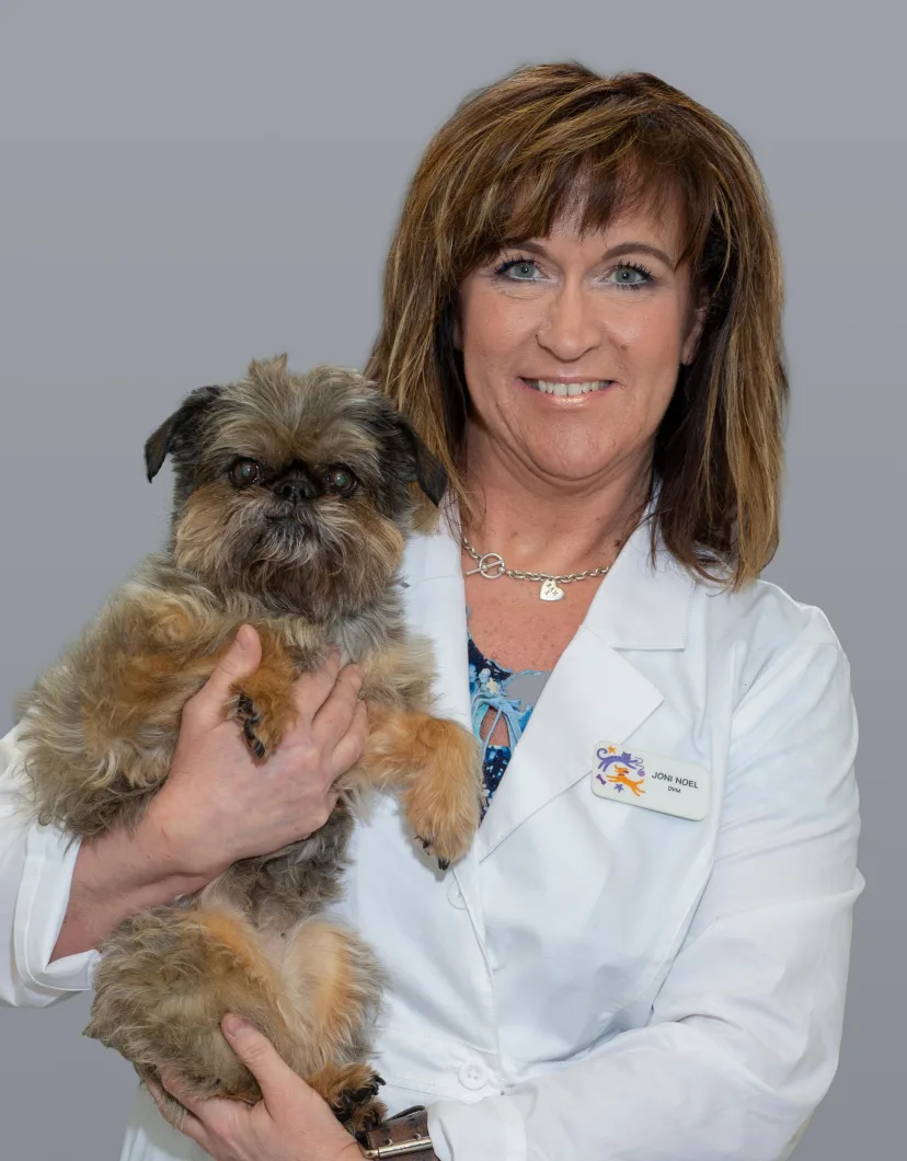 Dr. Joni Noel | Roanoke Animal Hospital TX