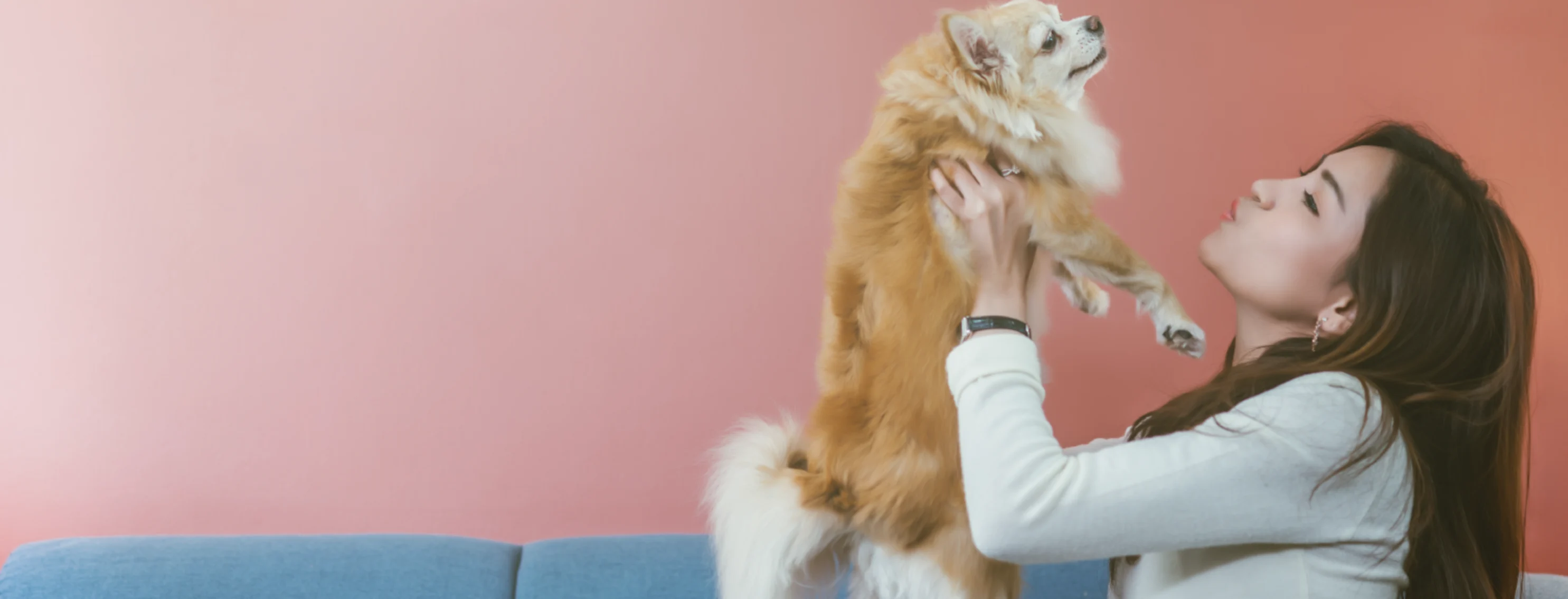 Woman holding up dog on couch Woman holding up dog on couch