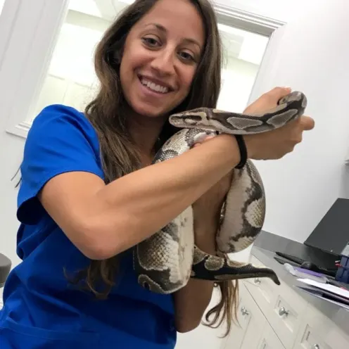 Animalife Staff Member with Snake at The Animalife Veterinary Center at Eagle Creek
