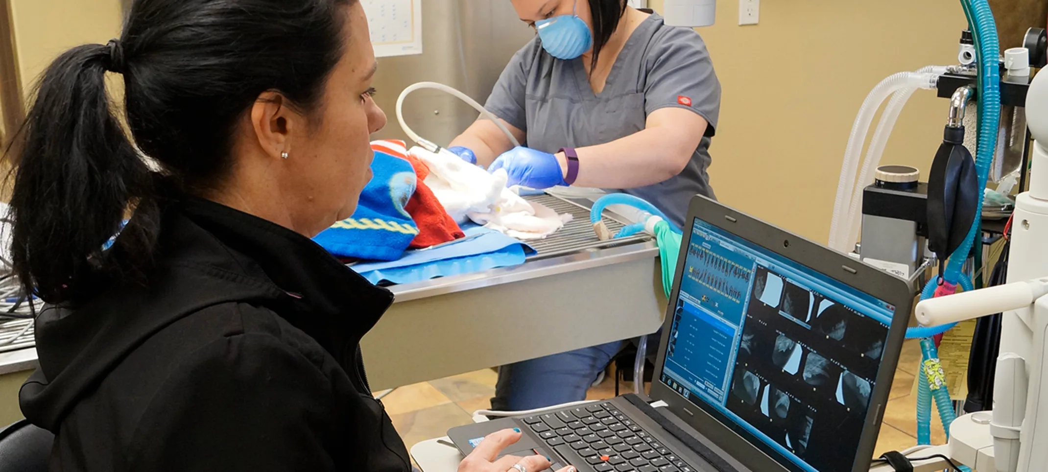 Roanoke staff providing dental services to a pet Roanoke staff providing dental services to a pet