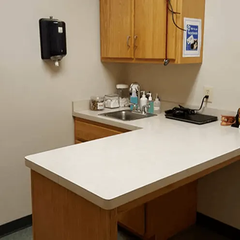 Exam room with large exam table and sink at College Mall Veterinary Hospital