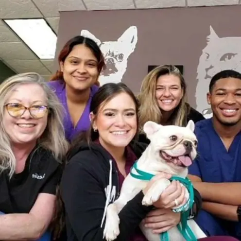 Staff Smiling and Holding a Dog In Front Lobby