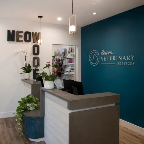 Front desk with meow and woof signs on the wall and designed door