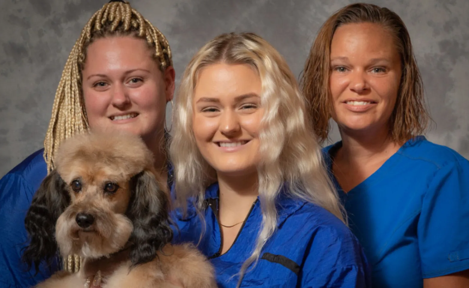 The Animalife Veterinary Center Team Photo